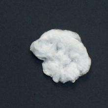 Nitrocellulose